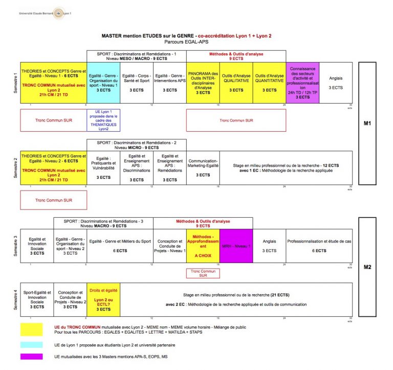 Schema_type-Master-ETUDES-sur-le-GENRE-05-Juin-Master-1-768x722