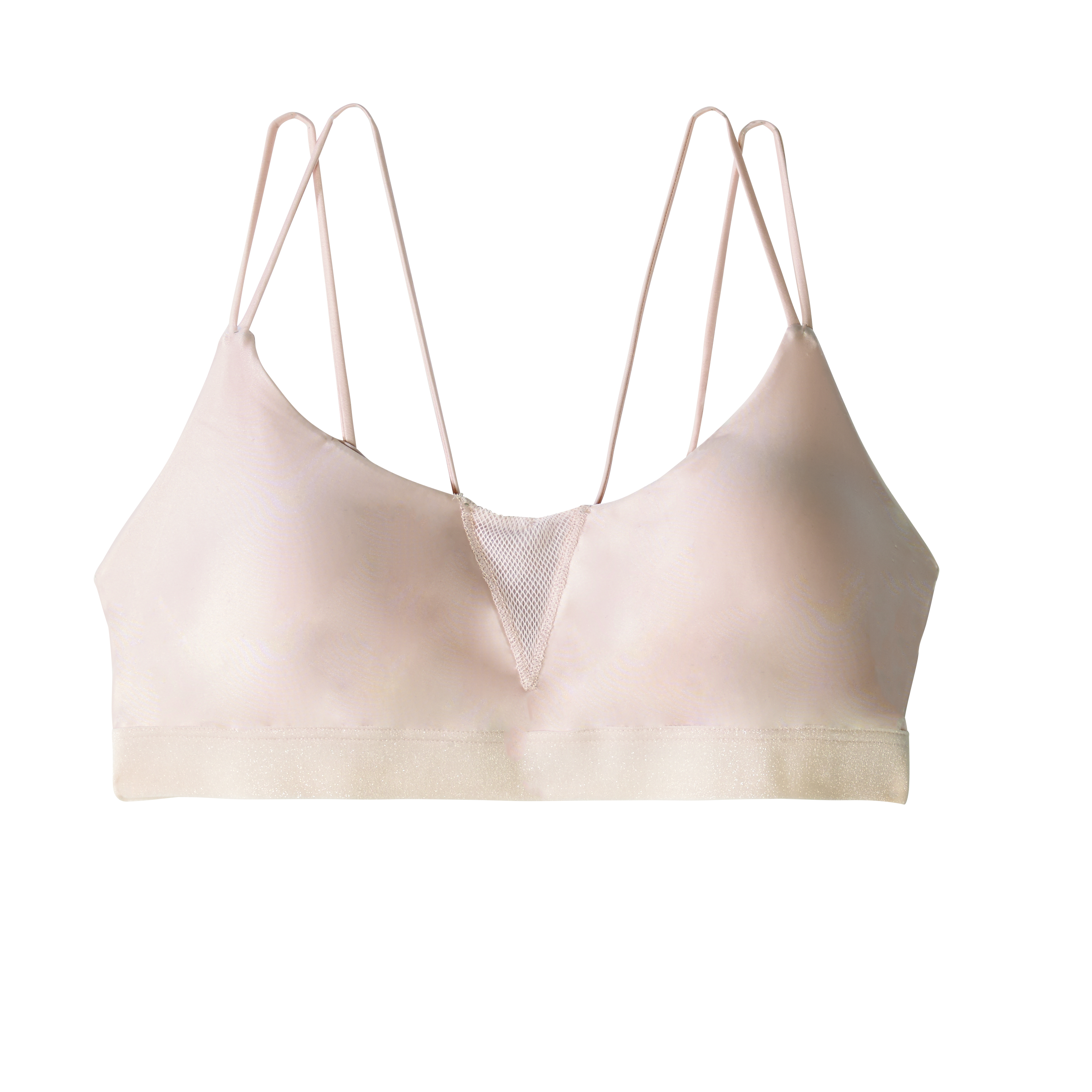 brassiere