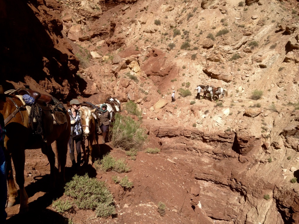 Equi-rando : une rando à cheval dans l’Utah