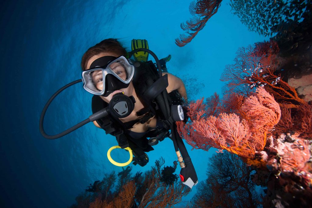 La bronzette, ça va deux minutes ! Cet été, vous avez envie d’un peu plus d’action. Alors, pourquoi ne pas tester un baptême de plongée sous-marine ?