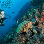 La bronzette, ça va deux minutes ! Cet été, vous avez envie d’un peu plus d’action. Alors, pourquoi ne pas tester un baptême de plongée sous-marine ?