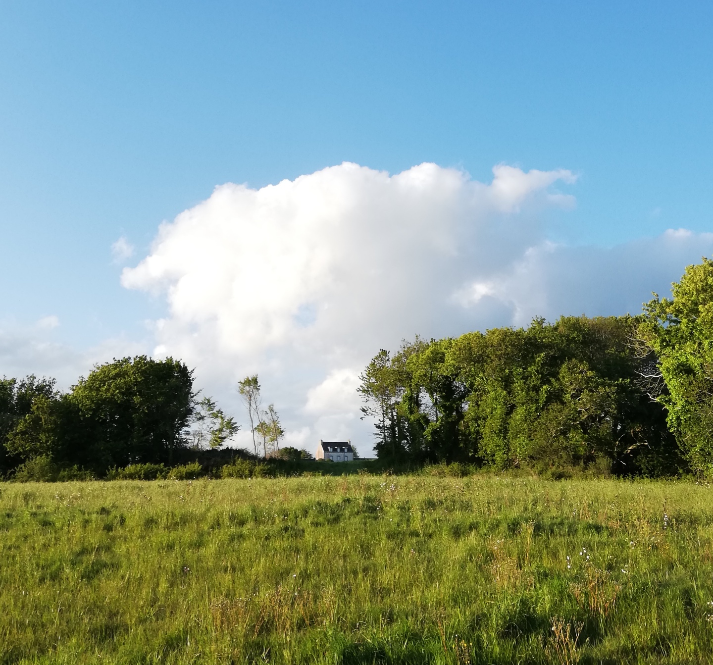 Détente bretonne : méditation face à la mer à la Thalasso Concarneau