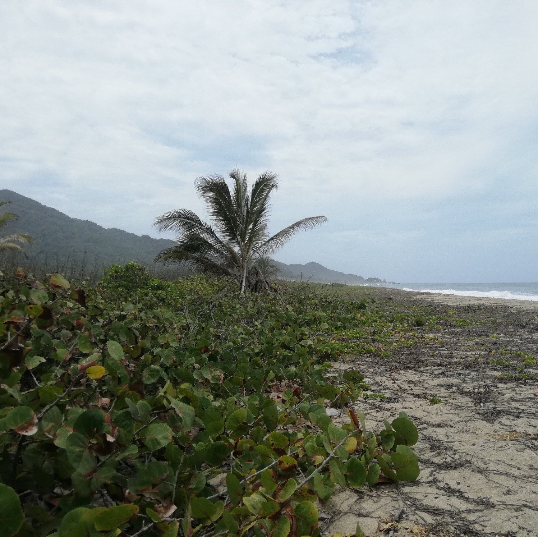 Voyage au backpack : mon road trip en Colombie