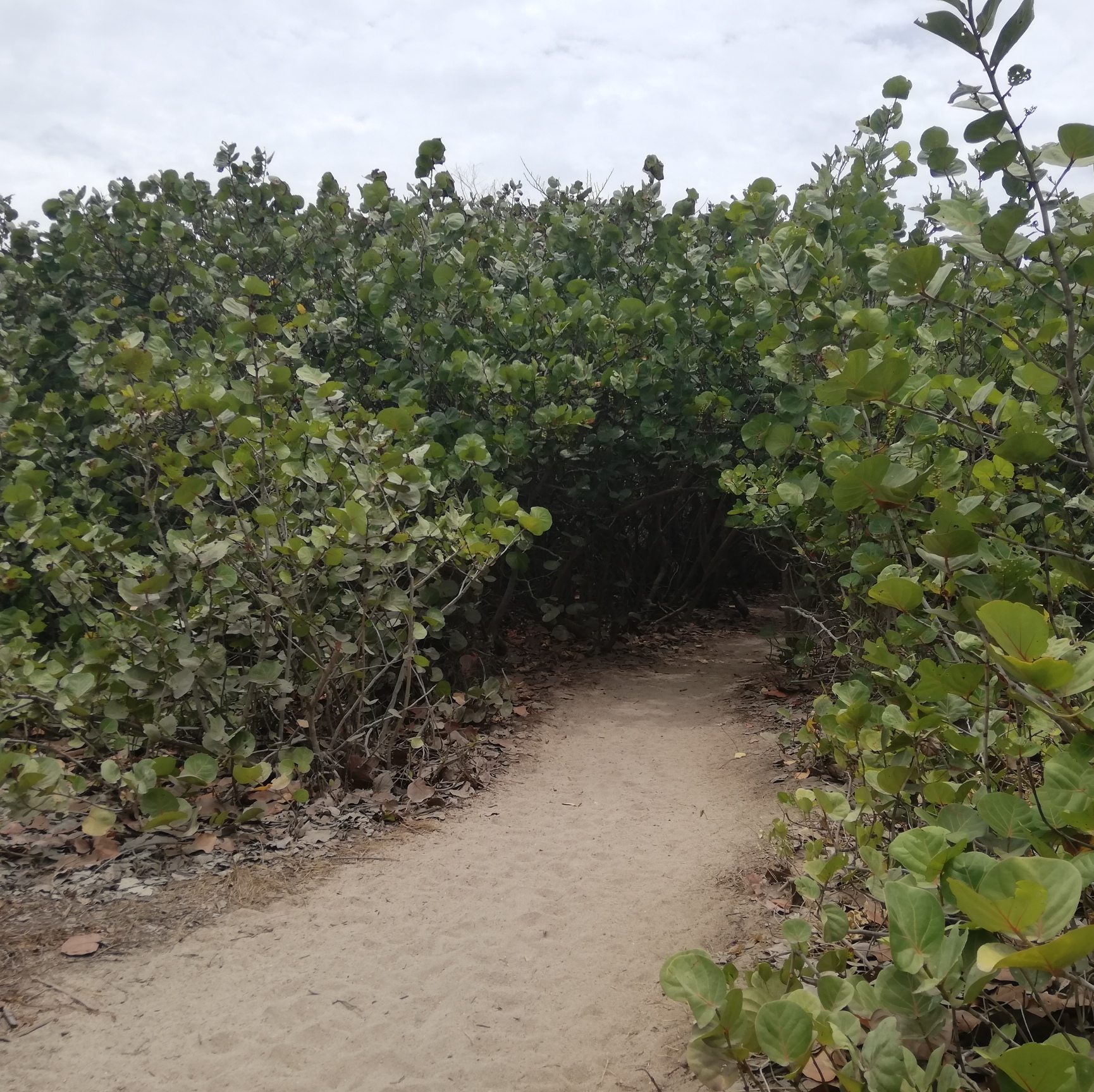 Voyage au backpack : mon road trip en Colombie