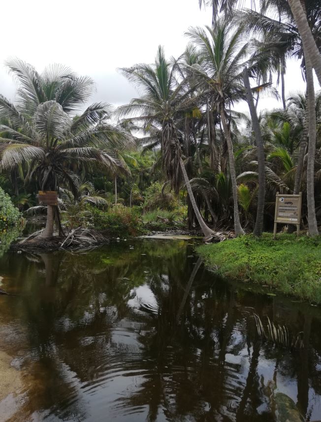 Voyage au backpack : mon road trip en Colombie