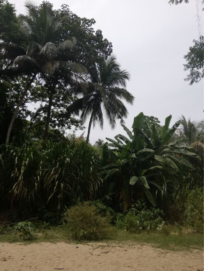 Voyage au backpack : mon road trip en Colombie