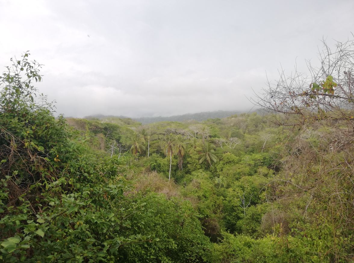 Voyage au backpack : mon road trip en Colombie