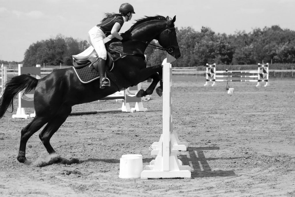 La jeune cavalière française Thaïs Meheust est décédée à l’âge de 22 ans samedi, après une lourde chute sur un parcours de cross disputé au Haras du Pin.