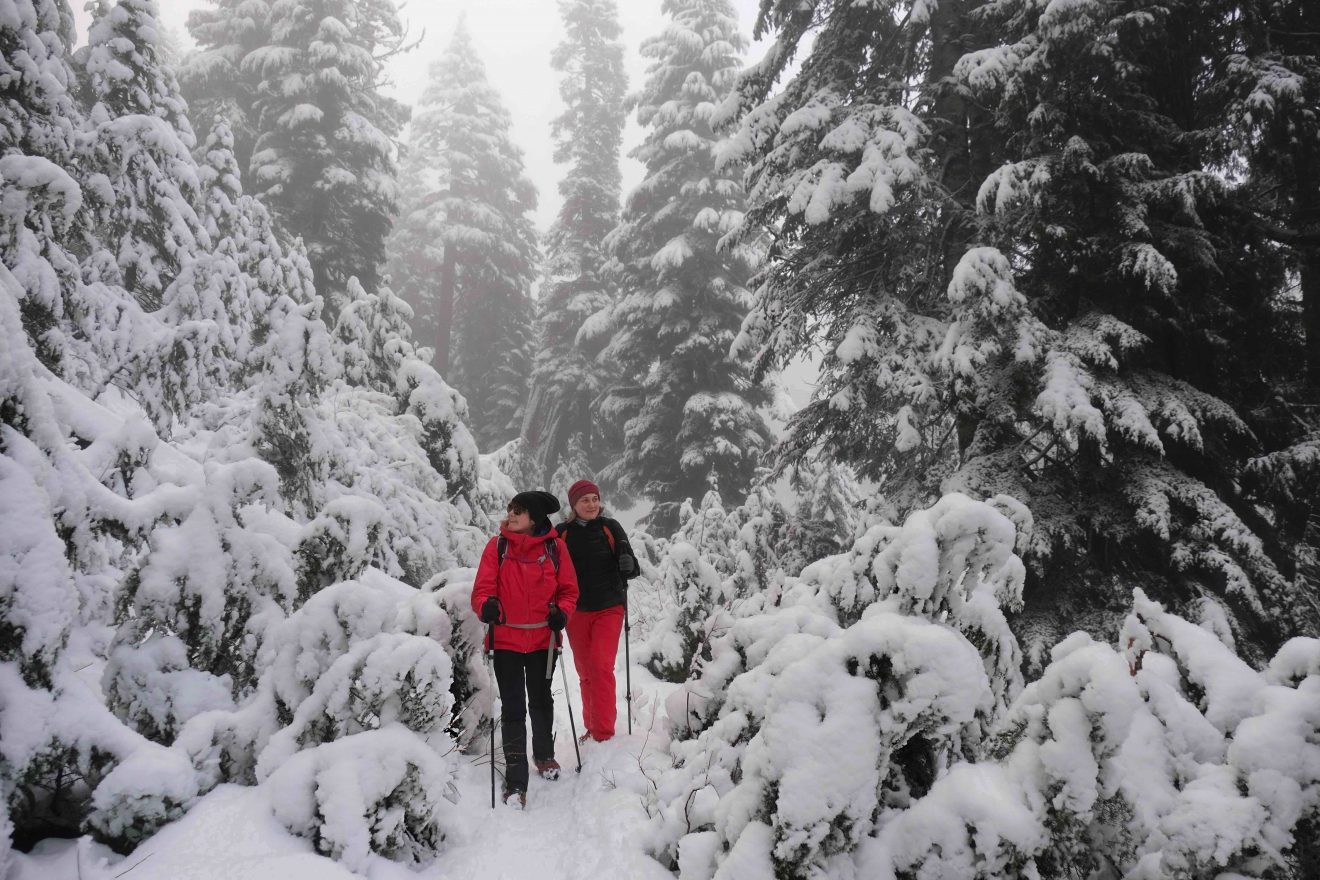 La randonnée en raquettes : trois bonnes raisons de s'y mettre cet hiver !