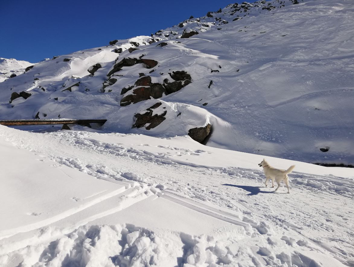 Découvrir Val Thorens : un séjour à ski vibrant !