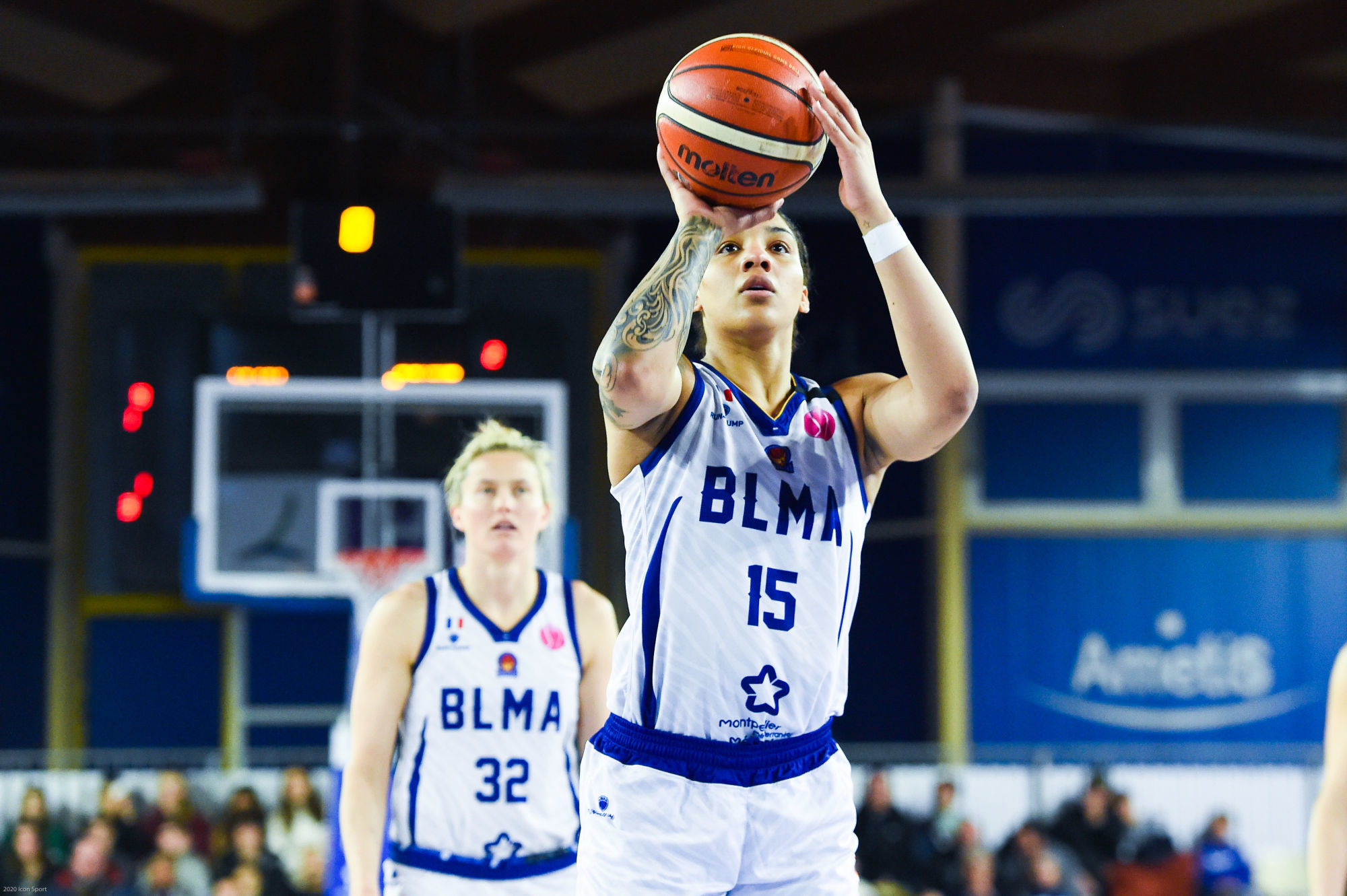 Les gazelles on sale basket