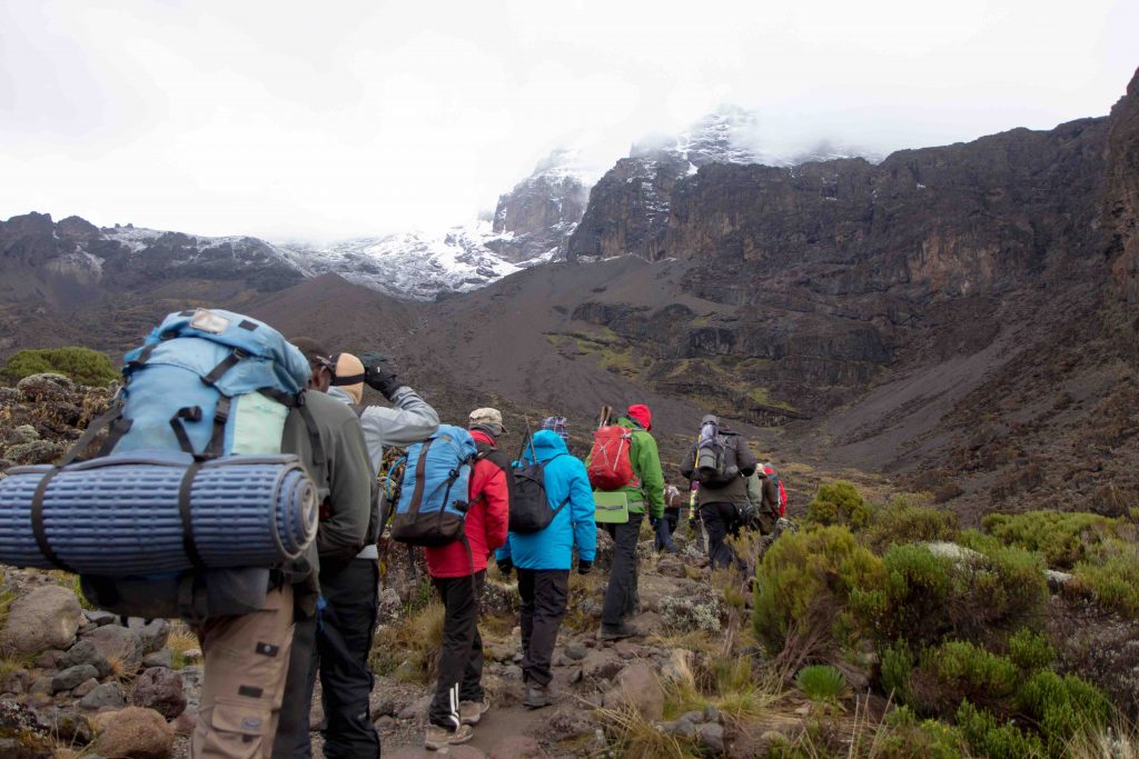 Sept jours sur le Kilimandjaro, récit de randonnée : vivez l’ascension de la plus haute montagne d'Afrique comme si vous y étiez. Carnet de trekking.