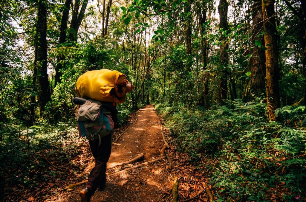Sept jours sur le Kilimandjaro, récit de randonnée : vivez l’ascension de la plus haute montagne d'Afrique comme si vous y étiez. Carnet de trekking.