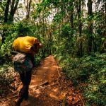 Sept jours sur le Kilimandjaro, récit de randonnée : vivez l’ascension de la plus haute montagne d'Afrique comme si vous y étiez. Carnet de trekking.