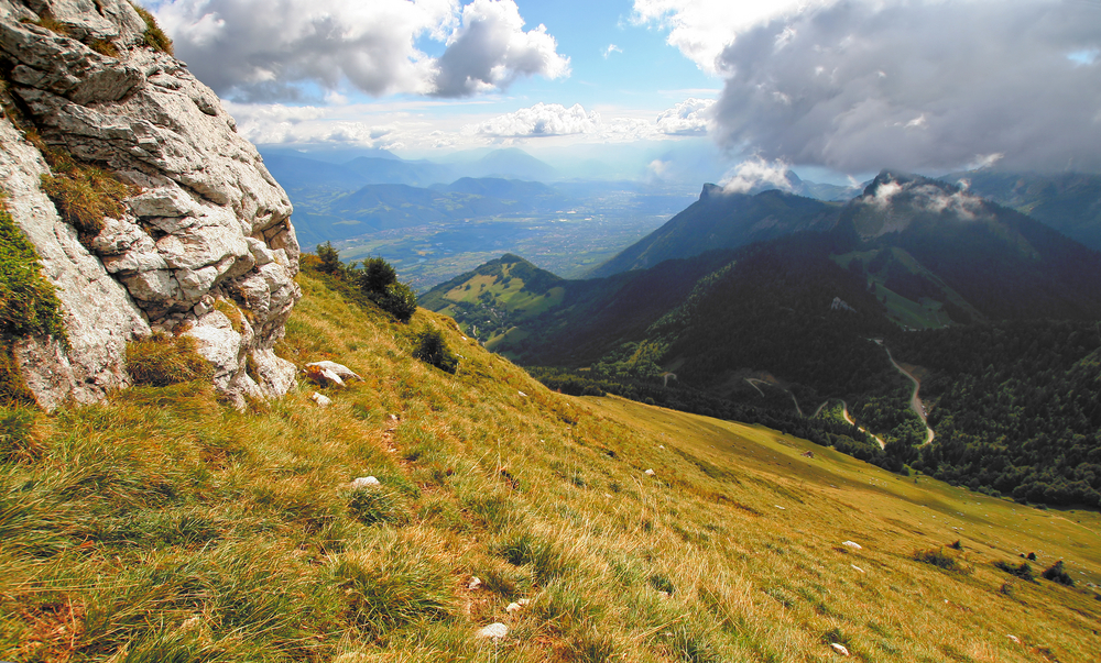 chartreuse massif