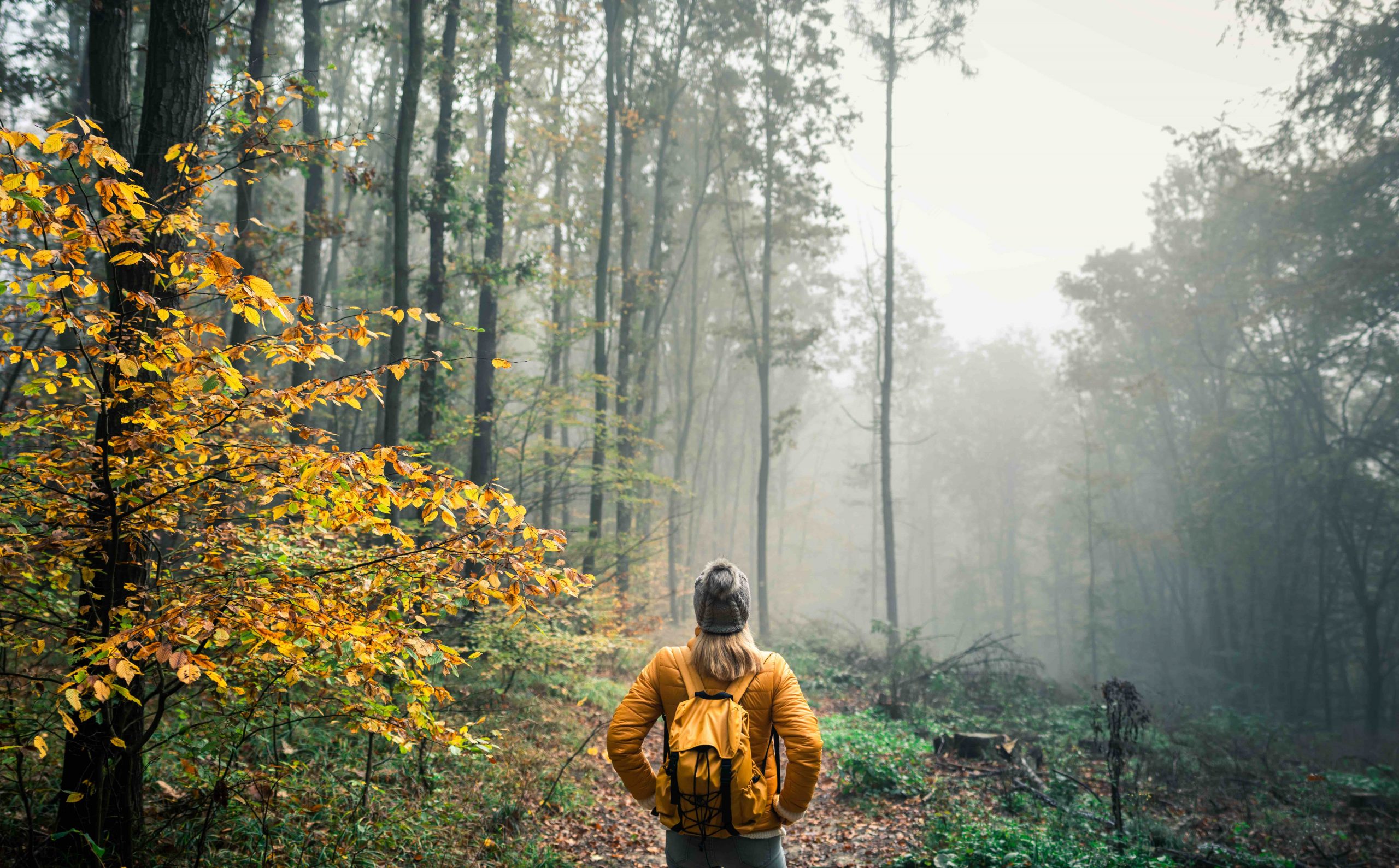 Marche sportive, nordique ou randonnée ? Malgré leurs différences, ces marches ont un point commun : elles sont accessibles aux débutantes.