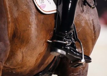 Équitation : la Fédération retire sa plainte contre une cavalière victime présumée de viols