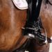 Équitation : la Fédération retire sa plainte contre une cavalière victime présumée de viols