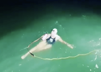 Natation – Chloe McCardel bat le record en traversant 44 fois la Manche