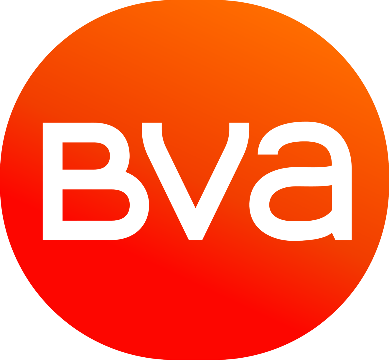 Logo_new_BVA_RVB