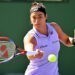 tennis / WTA de Miami : Caroline Garcia craque encore face à Cirstea