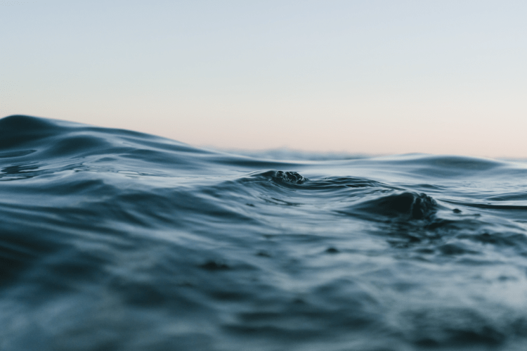 Wingfoil – Orane Ceris a « super bien performé » en Nouvelle Zélande !