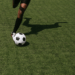 Les meilleures sportives du monde