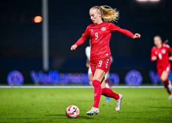 Football / Coupe du monde – Le Danemark s’impose sur le fil contre la Chine