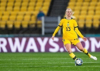Football / Coupe du monde – La Suède peine face à l’Afrique du Sud