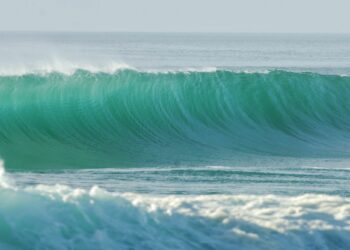 Surf – L’équipe de France de para surf sacrée championne du monde