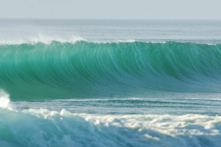 Surf – L’équipe de France de para surf sacrée championne du monde