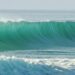 Surf – L’équipe de France de para surf sacrée championne du monde