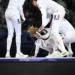 Escrime / JO 2024 – Les épéistes françaises décrochent l’argent !