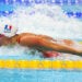 Natation / JO 2024 – Marie Wattel un peu trop juste sur le 100 m papillon