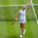 Tennis / Wimbledon :- Rybakina écrase Svitolina et fonce en demies !