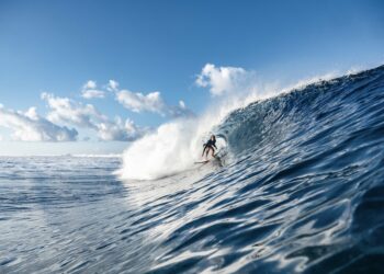 Les 5 looks préférés de Hermine Bonvallet