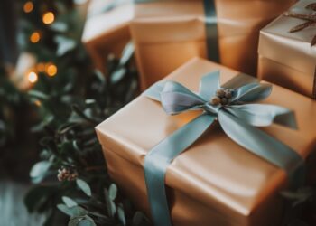 On teste pour vous… Les box sport !