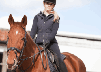 Plongée dans le monde de l’équitation chez les femmes