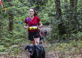 À la découverte du canicross – Julie, Leïa et Tsuki : les reines de la traction affective