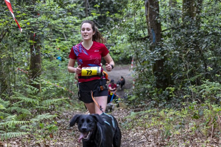 À la découverte du canicross – Julie, Leïa et Tsuki : les reines de la traction affective