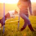 À LA DÉCOUVERTE DE L’AGILITY DOG : Là où les chiens volent et les cœurs s’alignent