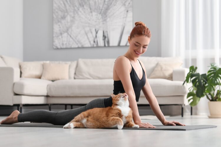J&rsquo;ai testé pour vous le yoga à la maison… En compagnie de mon chat !