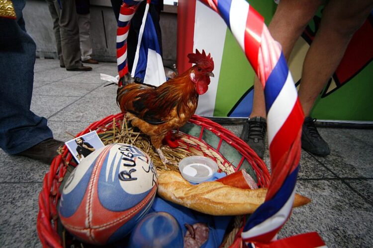 Chicken road 2.0 guide pratique en France pour progresser