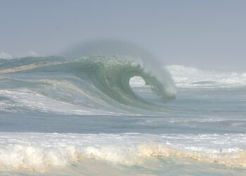 Para Surf – La France signe un triplé mondial historique