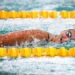 Natation en eau glacée : Ludivine Blanc réalise un exploit historique en Finlande