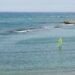 Windsurf – Justine Lemeteyer sacrée championne du monde en slalom X