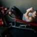Banc inclinable sous les combles – pourquoi son dossier touche-t-il le mur ?