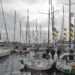 Route du Rhum : onze femmes au départ, un record historique !